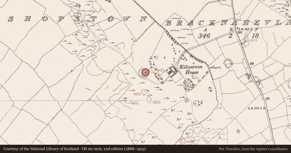 Ordnance Survey six-inch map, 2nd edition (1888–1915) covering the location of Ringfort - rath, Ballinaspick Or Bishopstown, County Westmeath, with a pin at the register's coordinates