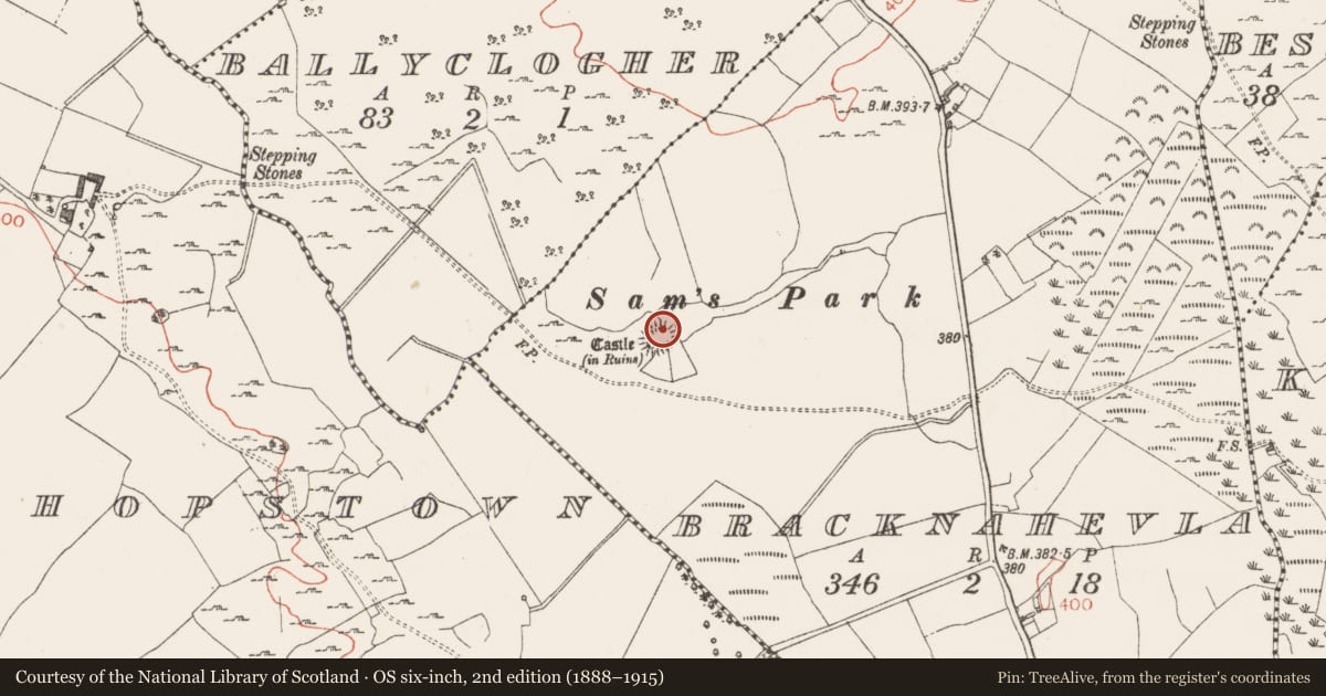 Ordnance Survey six-inch map, 2nd edition (1888–1915) covering the location of Castle - unclassified, Bracknahevla, County Westmeath, with a pin at the register's coordinates
