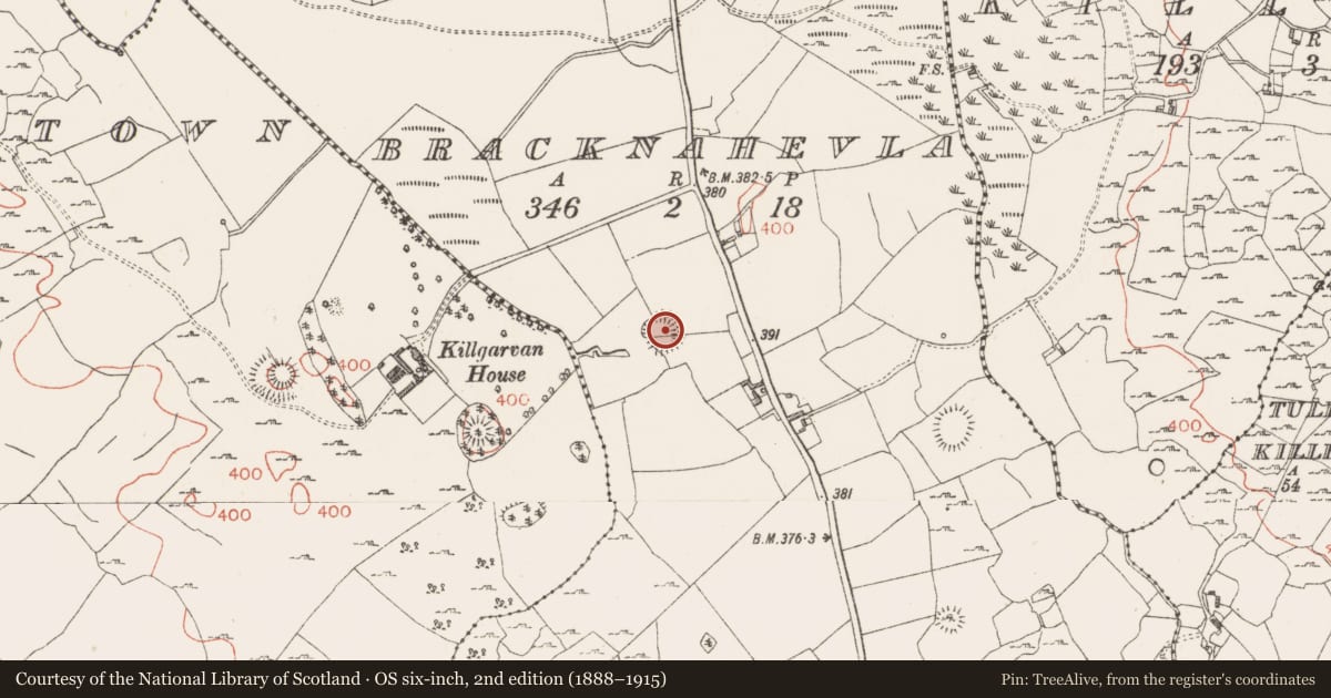 Ordnance Survey six-inch map, 2nd edition (1888–1915) covering the location of Ringfort - rath, Bracknahevla, County Westmeath, with a pin at the register's coordinates
