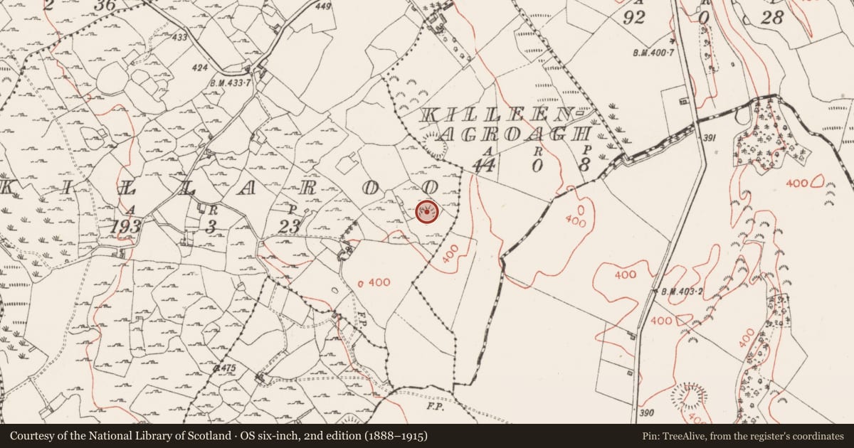 Ordnance Survey six-inch map, 2nd edition (1888–1915) covering the location of Ringfort - rath, Killaroo, County Westmeath, with a pin at the register's coordinates