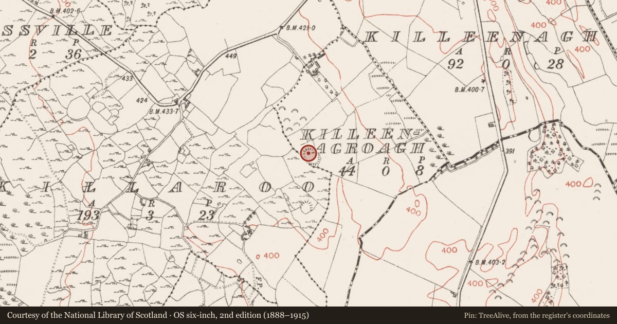Ordnance Survey six-inch map, 2nd edition (1888–1915) covering the location of Ringfort - unclassified, Killeenagroagh, County Westmeath, with a pin at the register's coordinates