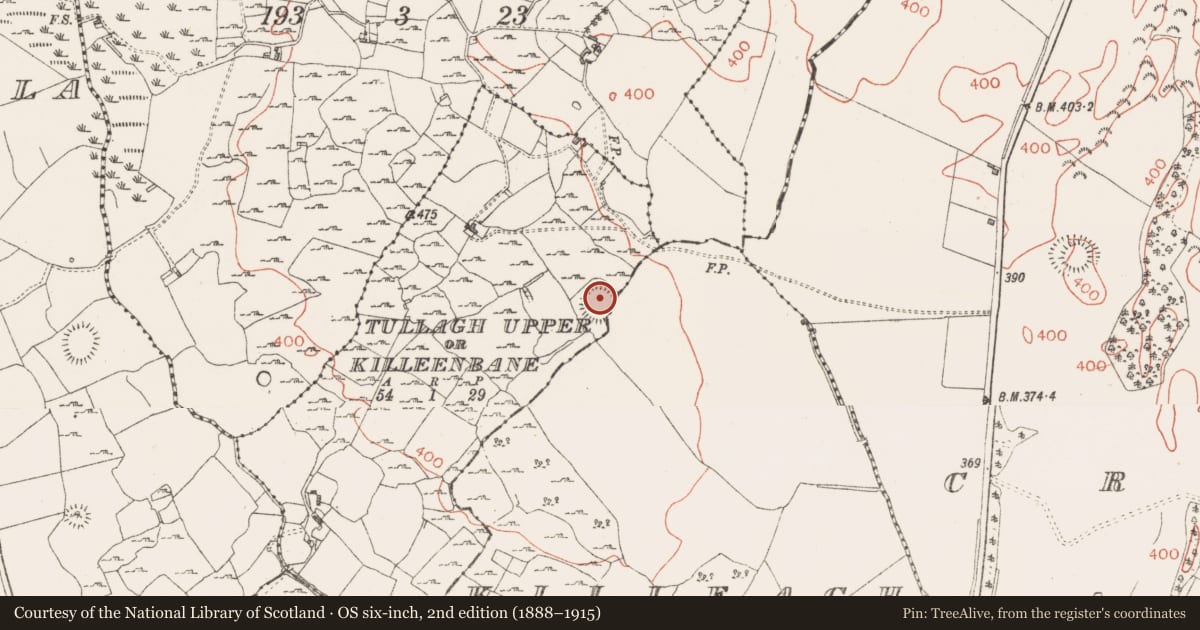 Ordnance Survey six-inch map, 2nd edition (1888–1915) covering the location of Ringfort - rath, Tullagh Upper Or Killeenbane, County Westmeath, with a pin at the register's coordinates