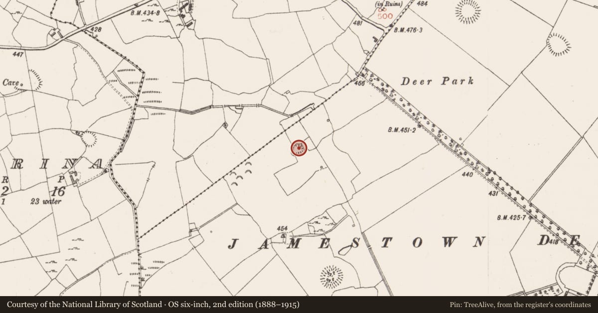 Ordnance Survey six-inch map, 2nd edition (1888–1915) covering the location of House - indeterminate date, Jamestown, County Westmeath, with a pin at the register's coordinates