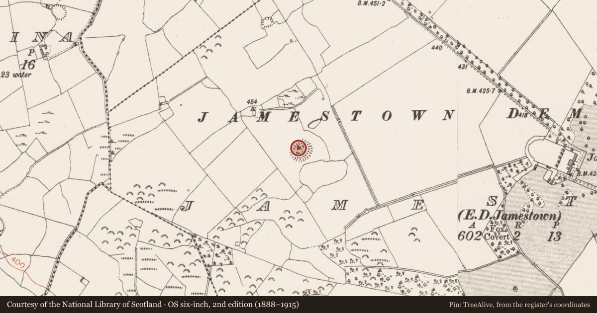 Ordnance Survey six-inch map, 2nd edition (1888–1915) covering the location of Ringfort - rath, Jamestown, County Westmeath, with a pin at the register's coordinates