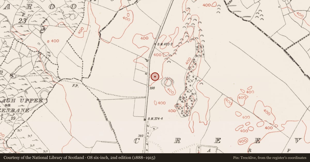 Ordnance Survey six-inch map, 2nd edition (1888–1915) covering the location of Ringfort - rath, Creeve, County Westmeath, with a pin at the register's coordinates