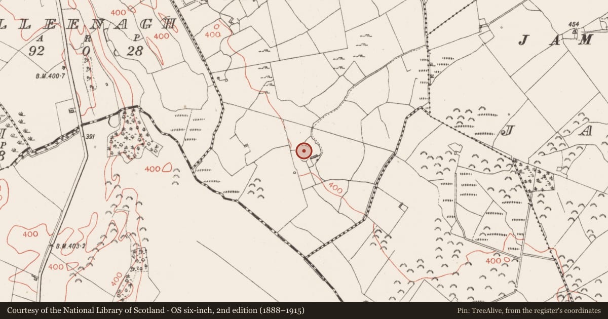 Ordnance Survey six-inch map, 2nd edition (1888–1915) covering the location of Enclosure, Clonyrina, County Westmeath, with a pin at the register's coordinates