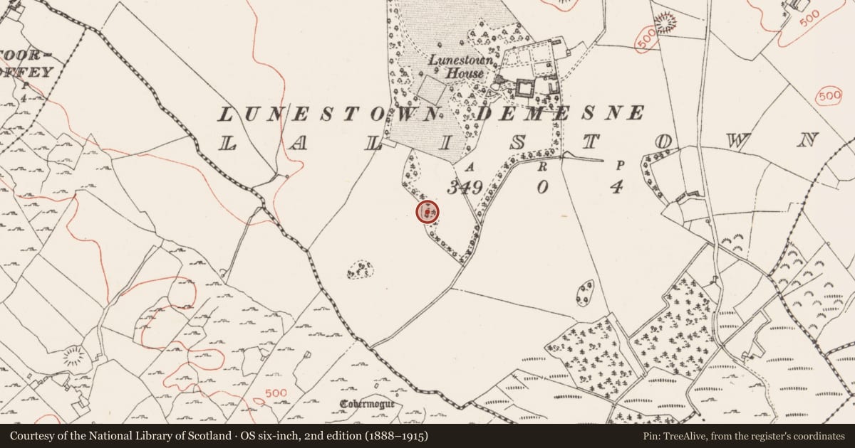 Ordnance Survey six-inch map, 2nd edition (1888–1915) covering the location of Ringfort - rath, Lalistown, County Westmeath, with a pin at the register's coordinates