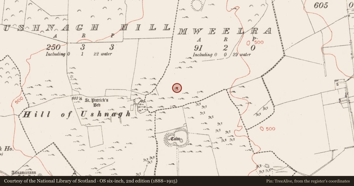 Ordnance Survey six-inch map, 2nd edition (1888–1915) covering the location of Barrow - mound barrow, Mweelra, County Westmeath, with a pin at the register's coordinates