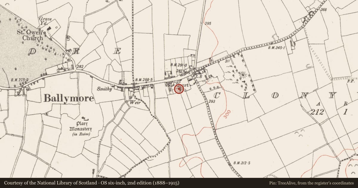 Ordnance Survey six-inch map, 2nd edition (1888–1915) covering the location of Kiln - lime, Mullaghcloe, County Westmeath, with a pin at the register's coordinates