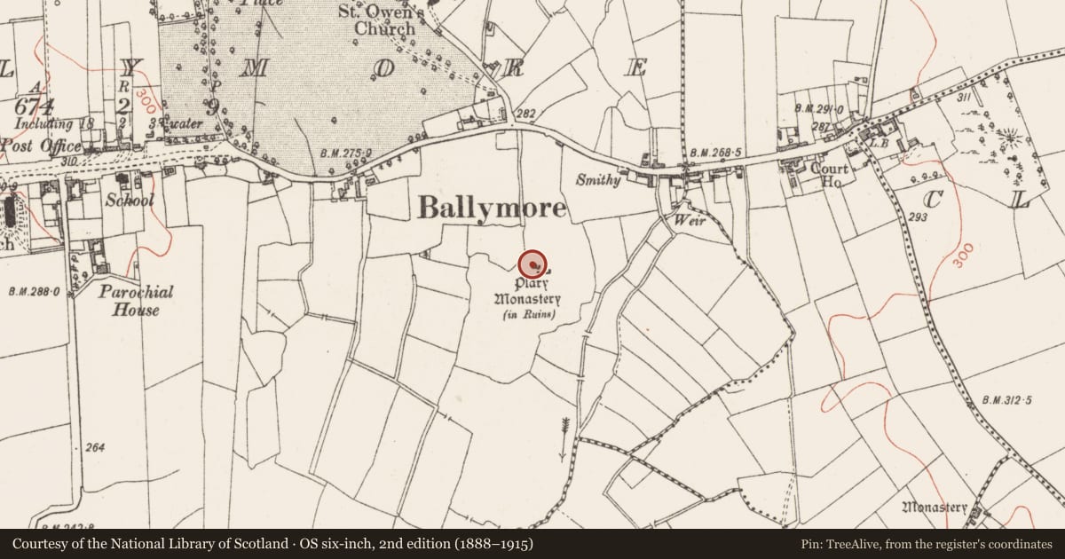 Ordnance Survey six-inch map, 2nd edition (1888–1915) covering the location of Castle - tower house, Ballymore, County Westmeath, with a pin at the register's coordinates