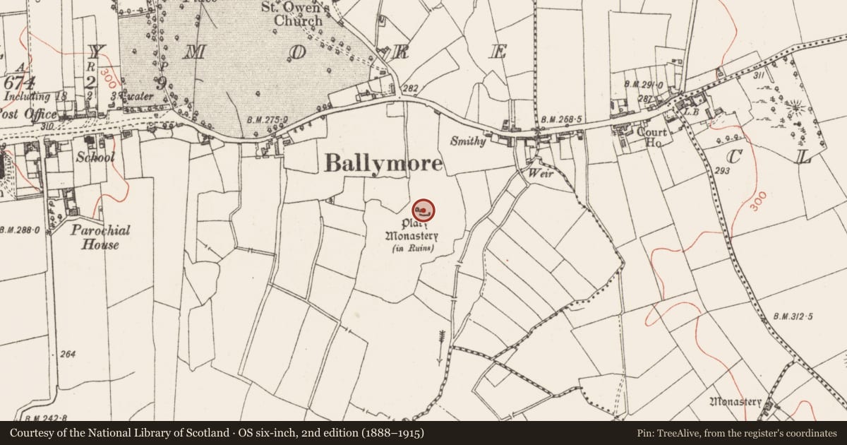 Ordnance Survey six-inch map, 2nd edition (1888–1915) covering the location of Bawn, Ballymore, County Westmeath, with a pin at the register's coordinates
