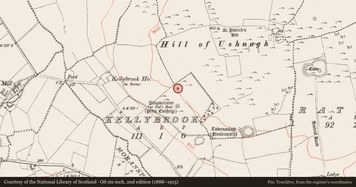 Ordnance Survey six-inch map, 2nd edition (1888–1915) covering the location of Standing stone, Kellybrook, County Westmeath, with a pin at the register's coordinates