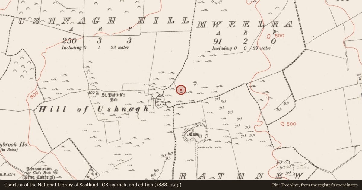 Ordnance Survey six-inch map, 2nd edition (1888–1915) covering the location of Ring-ditch, Mweelra, County Westmeath, with a pin at the register's coordinates
