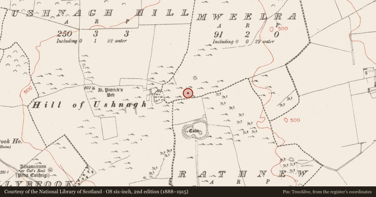 Ordnance Survey six-inch map, 2nd edition (1888–1915) covering the location of Ring-ditch, Mweelra, County Westmeath, with a pin at the register's coordinates