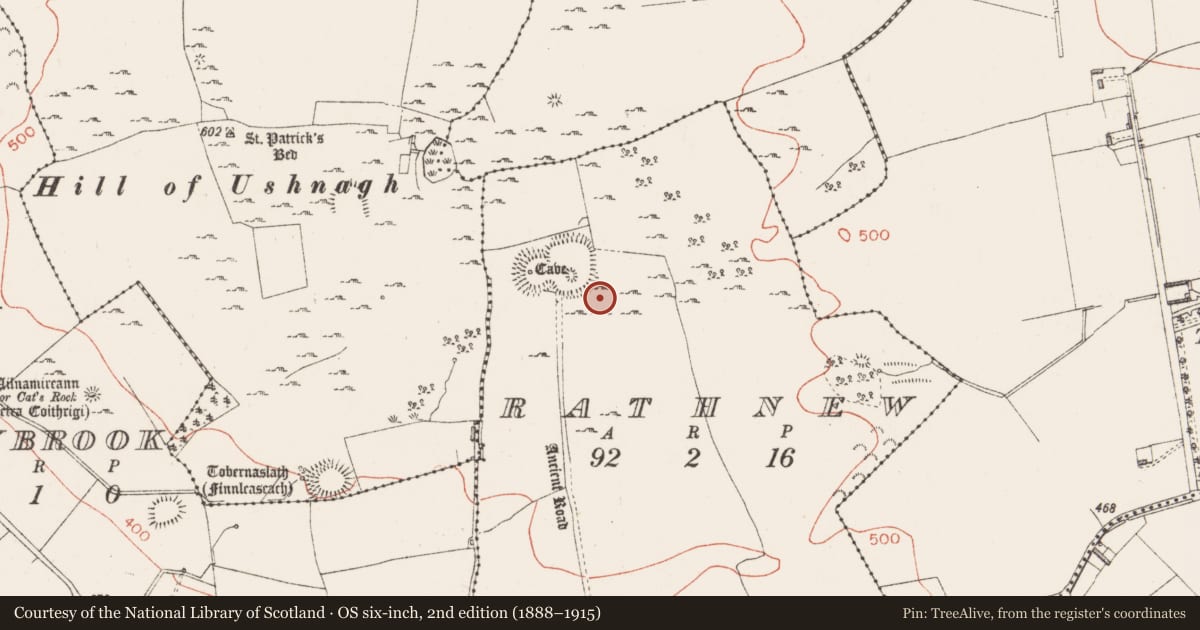 Ordnance Survey six-inch map, 2nd edition (1888–1915) covering the location of Ring-ditch, Rathnew, County Westmeath, with a pin at the register's coordinates
