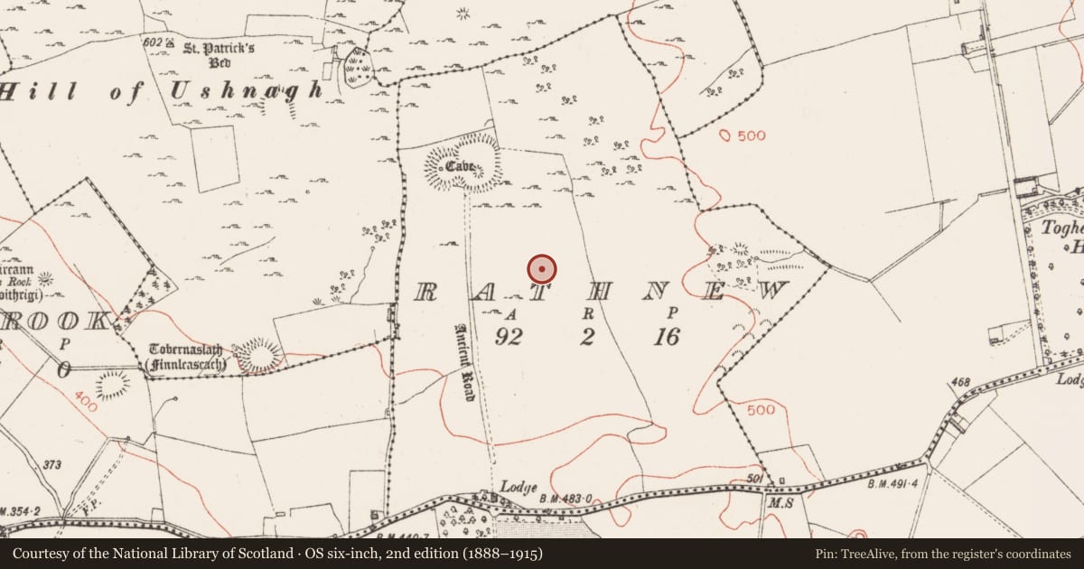 Ordnance Survey six-inch map, 2nd edition (1888–1915) covering the location of Barrow - ring-barrow, Rathnew, County Westmeath, with a pin at the register's coordinates