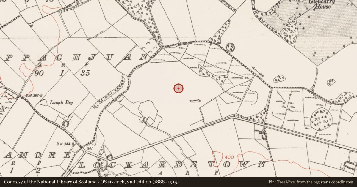 Ordnance Survey six-inch map, 2nd edition (1888–1915) covering the location of Enclosure, Lockardstown, County Westmeath, with a pin at the register's coordinates