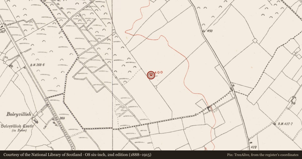 Ordnance Survey six-inch map, 2nd edition (1888–1915) covering the location of Castle - motte, Ballynacarrow, County Westmeath, with a pin at the register's coordinates
