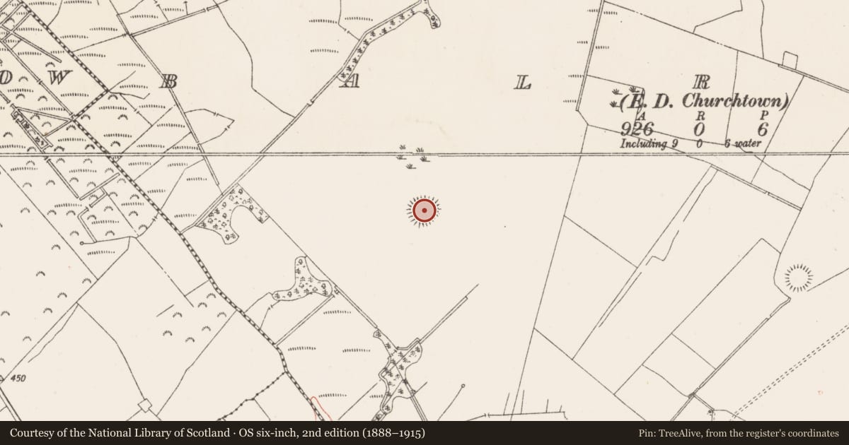 Ordnance Survey six-inch map, 2nd edition (1888–1915) covering the location of Ringfort - unclassified, Balrath, County Westmeath, with a pin at the register's coordinates
