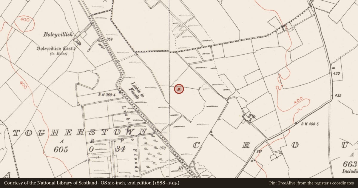 Ordnance Survey six-inch map, 2nd edition (1888–1915) covering the location of Church, Croughal, County Westmeath, with a pin at the register's coordinates