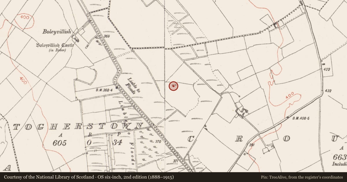 Ordnance Survey six-inch map, 2nd edition (1888–1915) covering the location of Cross-slab, Croughal, County Westmeath, with a pin at the register's coordinates
