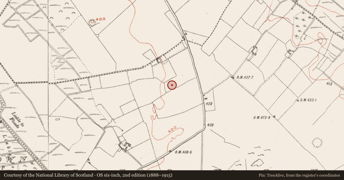 Ordnance Survey six-inch map, 2nd edition (1888–1915) covering the location of Enclosure - large enclosure, Croughal, County Westmeath, with a pin at the register's coordinates