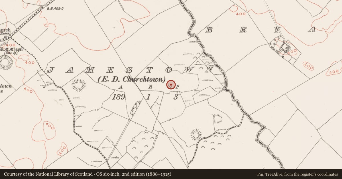 Ordnance Survey six-inch map, 2nd edition (1888–1915) covering the location of Moated site, Jamestown, County Westmeath, with a pin at the register's coordinates