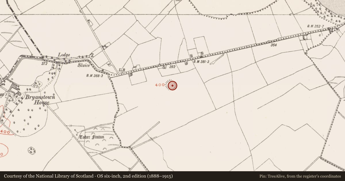 Ordnance Survey six-inch map, 2nd edition (1888–1915) covering the location of Ringfort - rath, Stokestown, County Westmeath, with a pin at the register's coordinates