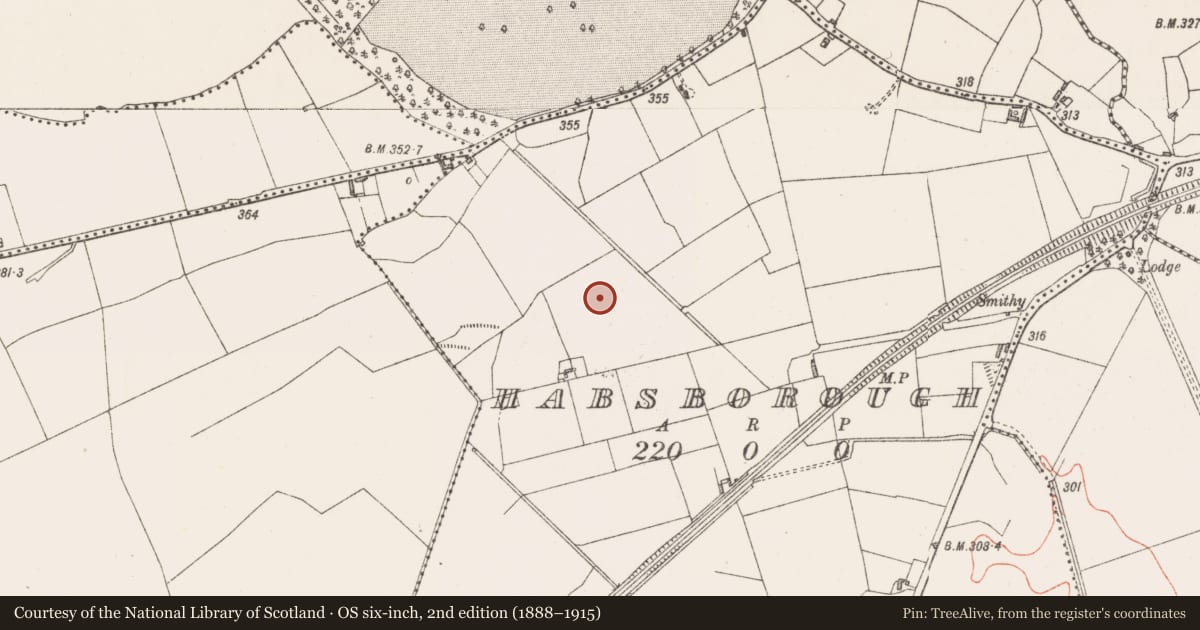 Ordnance Survey six-inch map, 2nd edition (1888–1915) covering the location of Ringfort - rath, Habsborough, County Westmeath, with a pin at the register's coordinates