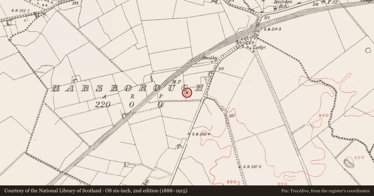 Ordnance Survey six-inch map, 2nd edition (1888–1915) covering the location of Ringfort - rath, Habsborough, County Westmeath, with a pin at the register's coordinates