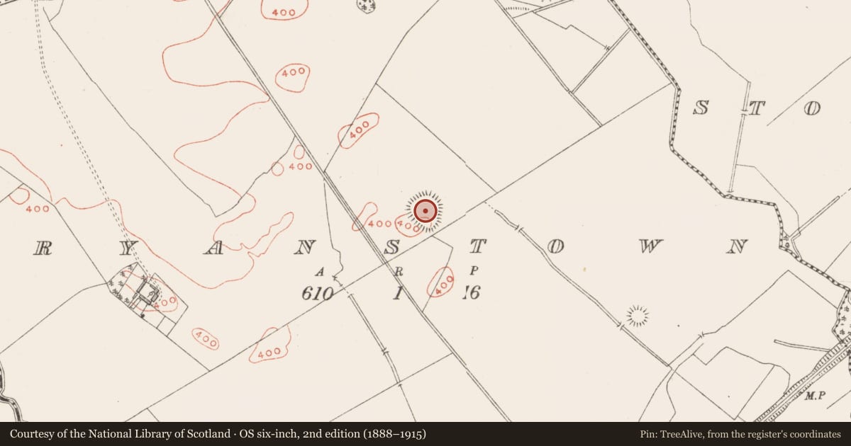 Ordnance Survey six-inch map, 2nd edition (1888–1915) covering the location of Ringfort - rath, Bryanstown, County Westmeath, with a pin at the register's coordinates