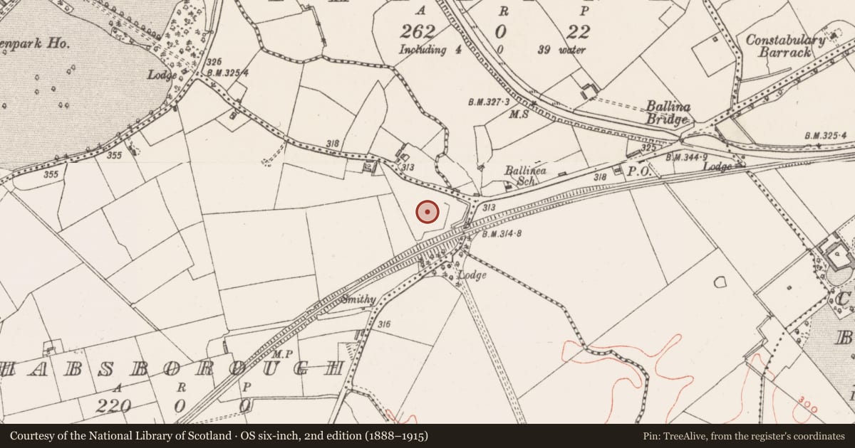 Ordnance Survey six-inch map, 2nd edition (1888–1915) covering the location of Barrow - ring-barrow, Habsborough, County Westmeath, with a pin at the register's coordinates