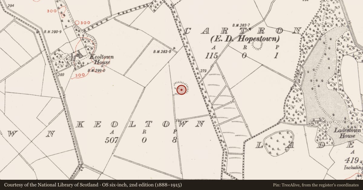 Ordnance Survey six-inch map, 2nd edition (1888–1915) covering the location of Ringfort - unclassified, Keoltown, County Westmeath, with a pin at the register's coordinates