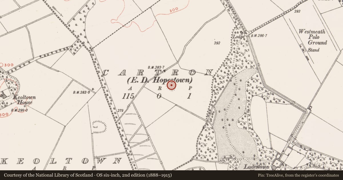 Ordnance Survey six-inch map, 2nd edition (1888–1915) covering the location of Ringfort - rath, Cartron, County Westmeath, with a pin at the register's coordinates