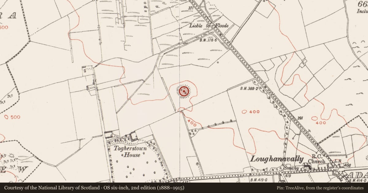 Ordnance Survey six-inch map, 2nd edition (1888–1915) covering the location of Ringfort - unclassified, Togherstown, County Westmeath, with a pin at the register's coordinates