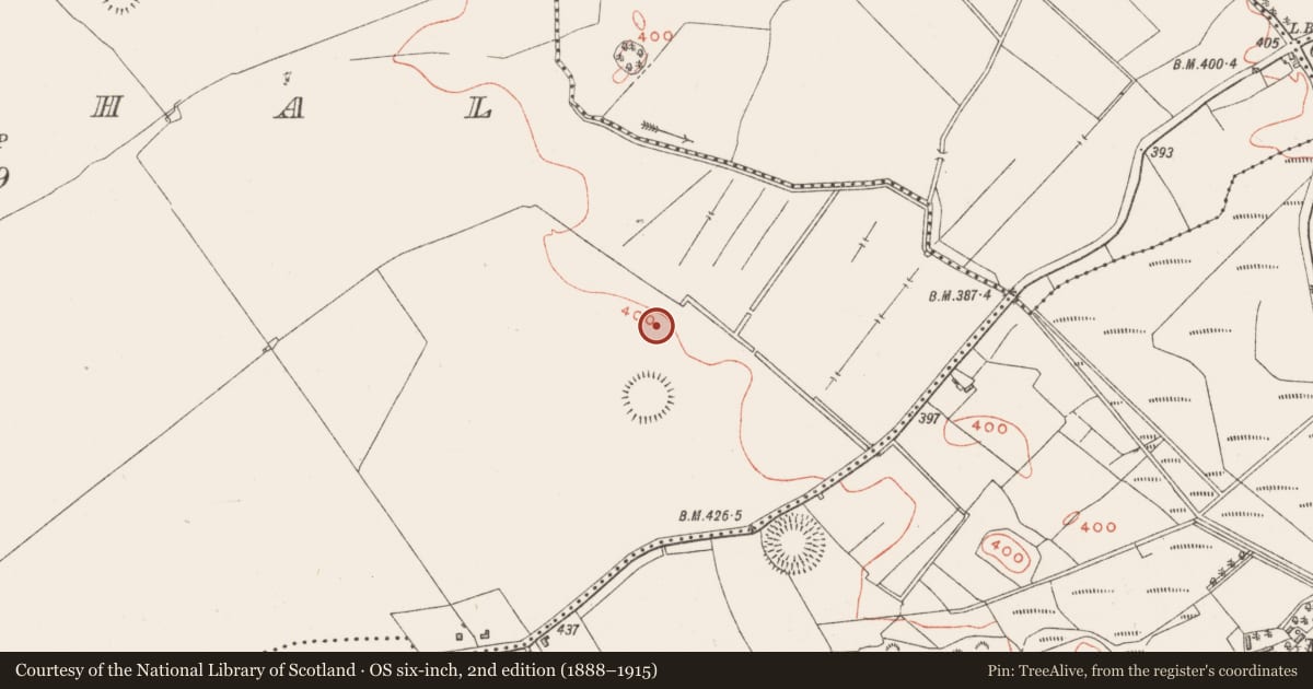 Ordnance Survey six-inch map, 2nd edition (1888–1915) covering the location of Barrow - stepped barrow, Croughal, County Westmeath, with a pin at the register's coordinates