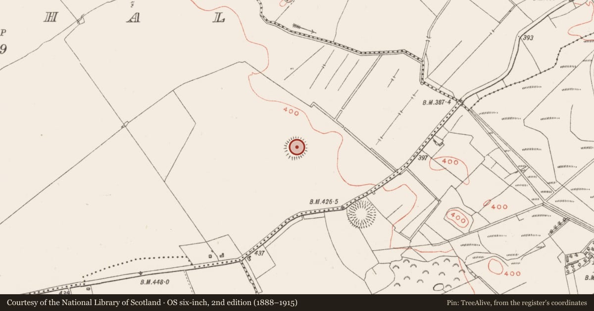 Ordnance Survey six-inch map, 2nd edition (1888–1915) covering the location of Ringfort - rath, Croughal, County Westmeath, with a pin at the register's coordinates