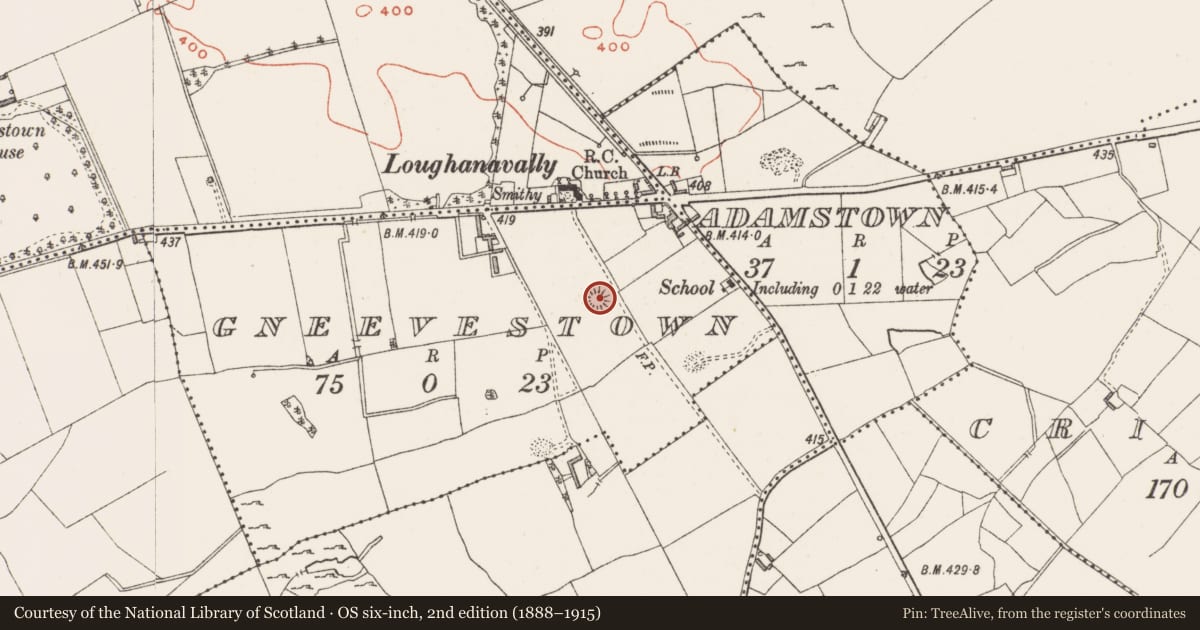 Ordnance Survey six-inch map, 2nd edition (1888–1915) covering the location of Ringfort - rath, Gneevestown, County Westmeath, with a pin at the register's coordinates