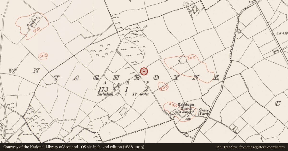 Ordnance Survey six-inch map, 2nd edition (1888–1915) covering the location of Standing stone, Taghboyne, County Westmeath, with a pin at the register's coordinates