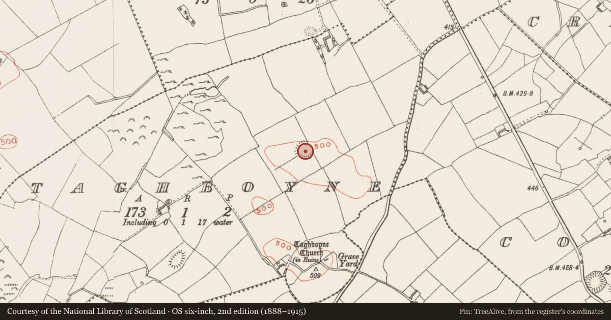 Ordnance Survey six-inch map, 2nd edition (1888–1915) covering the location of Ringfort - rath, Taghboyne, County Westmeath, with a pin at the register's coordinates