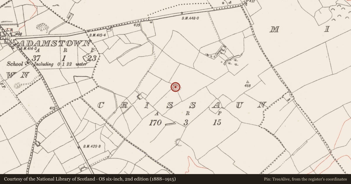 Ordnance Survey six-inch map, 2nd edition (1888–1915) covering the location of House - indeterminate date, Crissaun, County Westmeath, with a pin at the register's coordinates