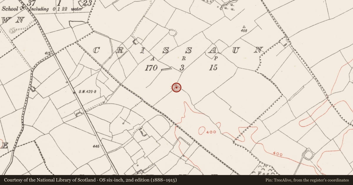 Ordnance Survey six-inch map, 2nd edition (1888–1915) covering the location of Ringfort - rath, Crissaun, County Westmeath, with a pin at the register's coordinates