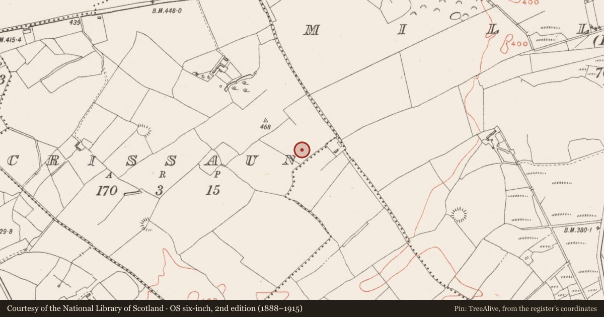 Ordnance Survey six-inch map, 2nd edition (1888–1915) covering the location of Souterrain, Crissaun, County Westmeath, with a pin at the register's coordinates