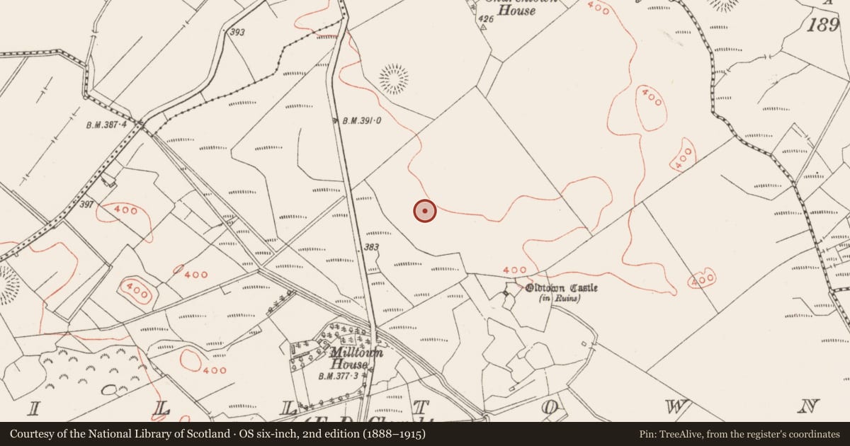 Ordnance Survey six-inch map, 2nd edition (1888–1915) covering the location of Cist, Milltown, County Westmeath, with a pin at the register's coordinates