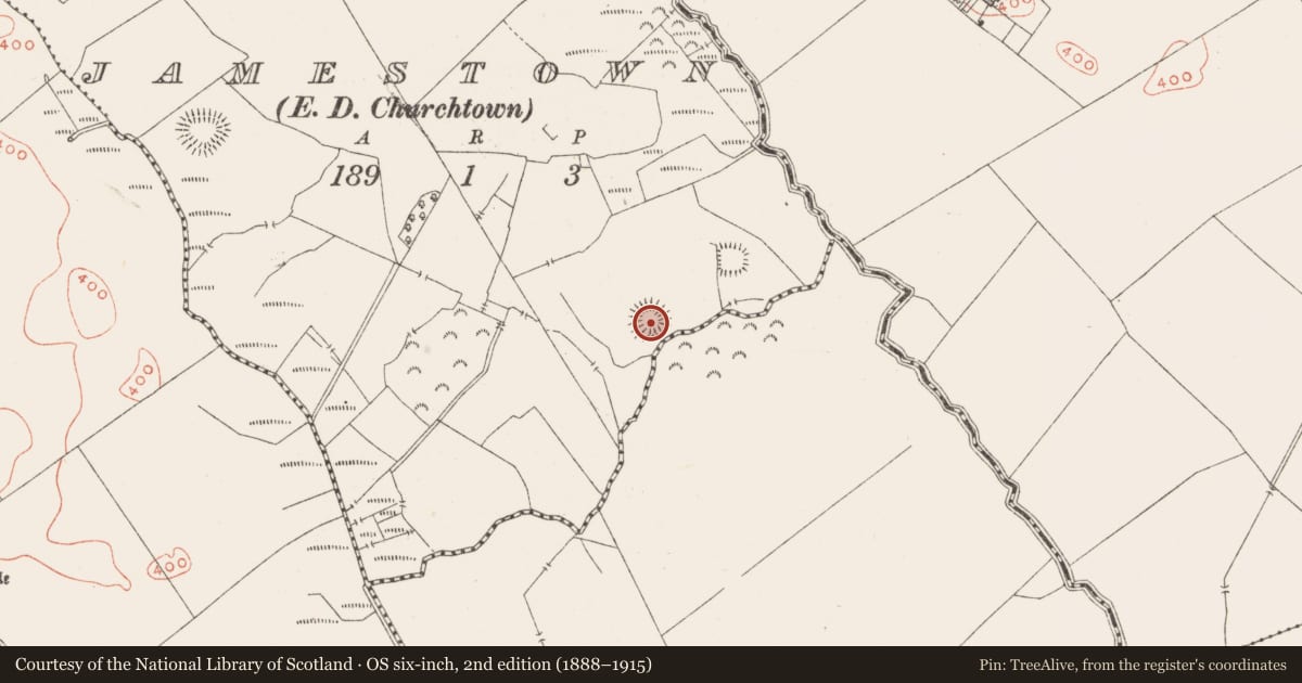 Ordnance Survey six-inch map, 2nd edition (1888–1915) covering the location of Ringfort - rath, Jamestown, County Westmeath, with a pin at the register's coordinates