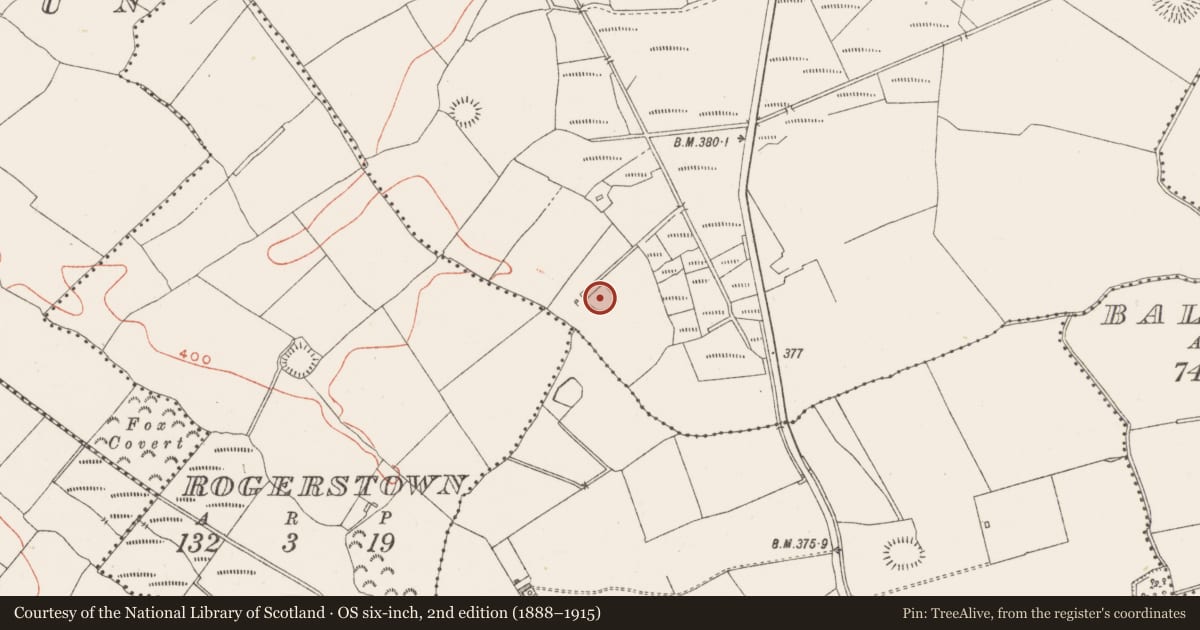 Ordnance Survey six-inch map, 2nd edition (1888–1915) covering the location of Ringfort - rath, Milltown, County Westmeath, with a pin at the register's coordinates
