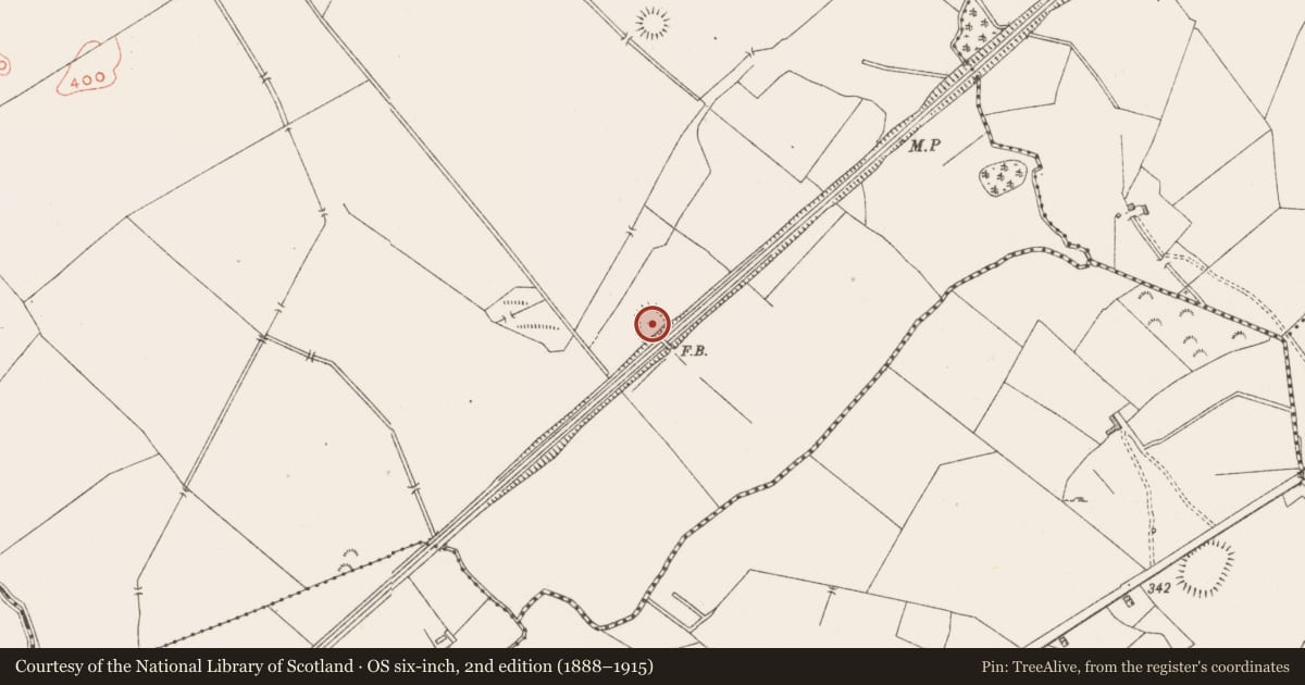 Ordnance Survey six-inch map, 2nd edition (1888–1915) covering the location of Ringfort - rath, Bryanstown, County Westmeath, with a pin at the register's coordinates
