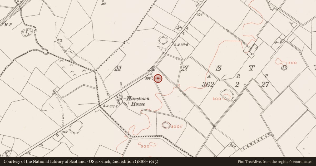 Ordnance Survey six-inch map, 2nd edition (1888–1915) covering the location of Ringfort - rath, Hanstown, County Westmeath, with a pin at the register's coordinates