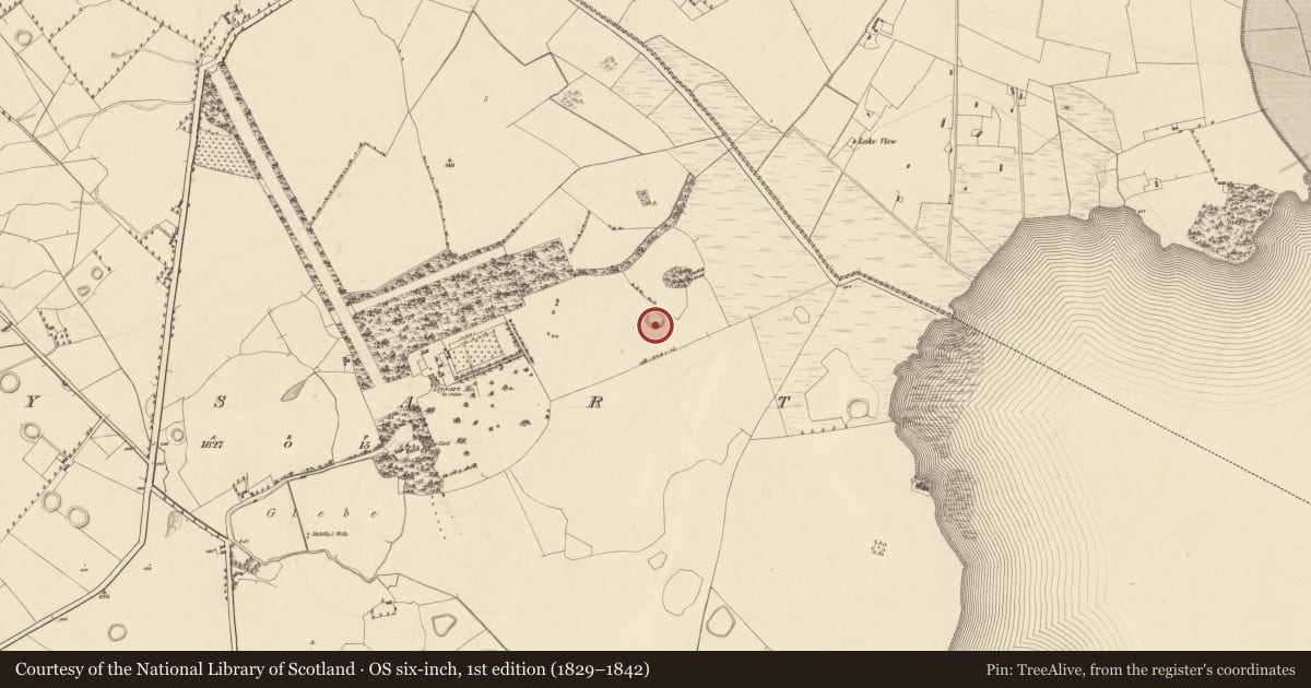 Ordnance Survey six-inch map, 1st edition (1829–1842) covering the location of Ringfort - unclassified, Dysart, County Westmeath, with a pin at the register's coordinates