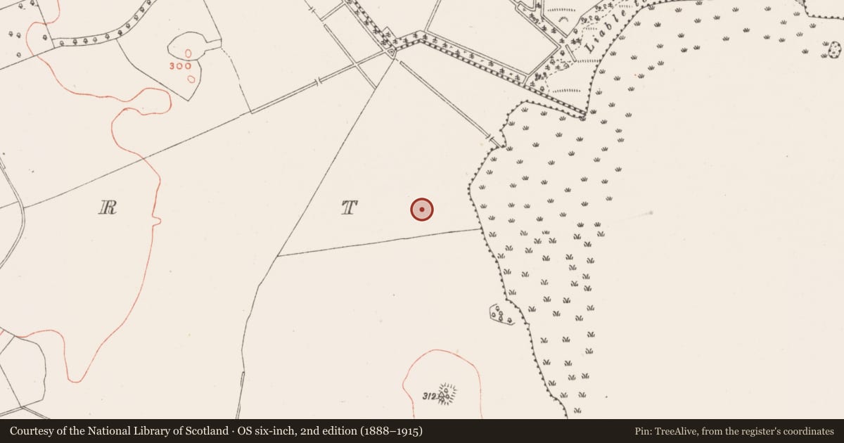 Ordnance Survey six-inch map, 2nd edition (1888–1915) covering the location of Ringfort - rath, Dysart, County Westmeath, with a pin at the register's coordinates